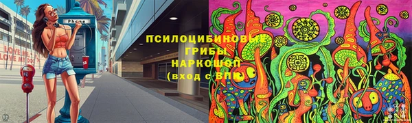 прущие грибы Горно-Алтайск